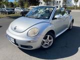Volkswagen New Beetle Cabriolet 1.4 Klima SHZ 8xbereift - Volkswagen New Beetle: Cabrio