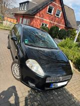 Fiat Punto  Zuverlässiger Kleinwagen mit ... - Fiat Punto in Essen