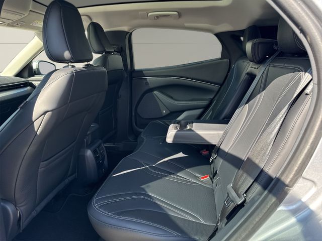 Ford Mustang MACH-E RWD 75kWh Tech-Pkt. 2, Panodach, 