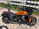 Kawasaki Vulcan S650 Cafe Racer Falcon Auspuff + Extras - Angebote
