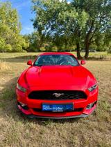 Ford Mustang 2.3 EcoBoost|317 PS|Unfallfrei - Ford Mustang: Ecoboost