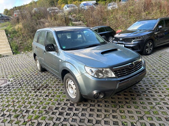 Subaru Forester Active