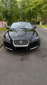 Jaguar XF 2.2 L Diesel - - Jaguar XF in Köln