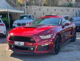 Ford FORD Mustang Fastback 3.7 ROUSH *TARGA ITALIANA* - Ford Mustang: Roush