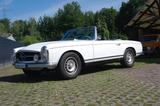 Mercedes-Benz SL 250*Pagode*250er SL*Hardtop*H-Zul*Brd FZG - Mercedes-Benz SL 250