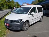 Volkswagen Caddy PKW 2.0 TDI Klima NAVI 5 Sitze PDC 2.Hd - mit Diesel-Antrieb: Kombi, Pkw