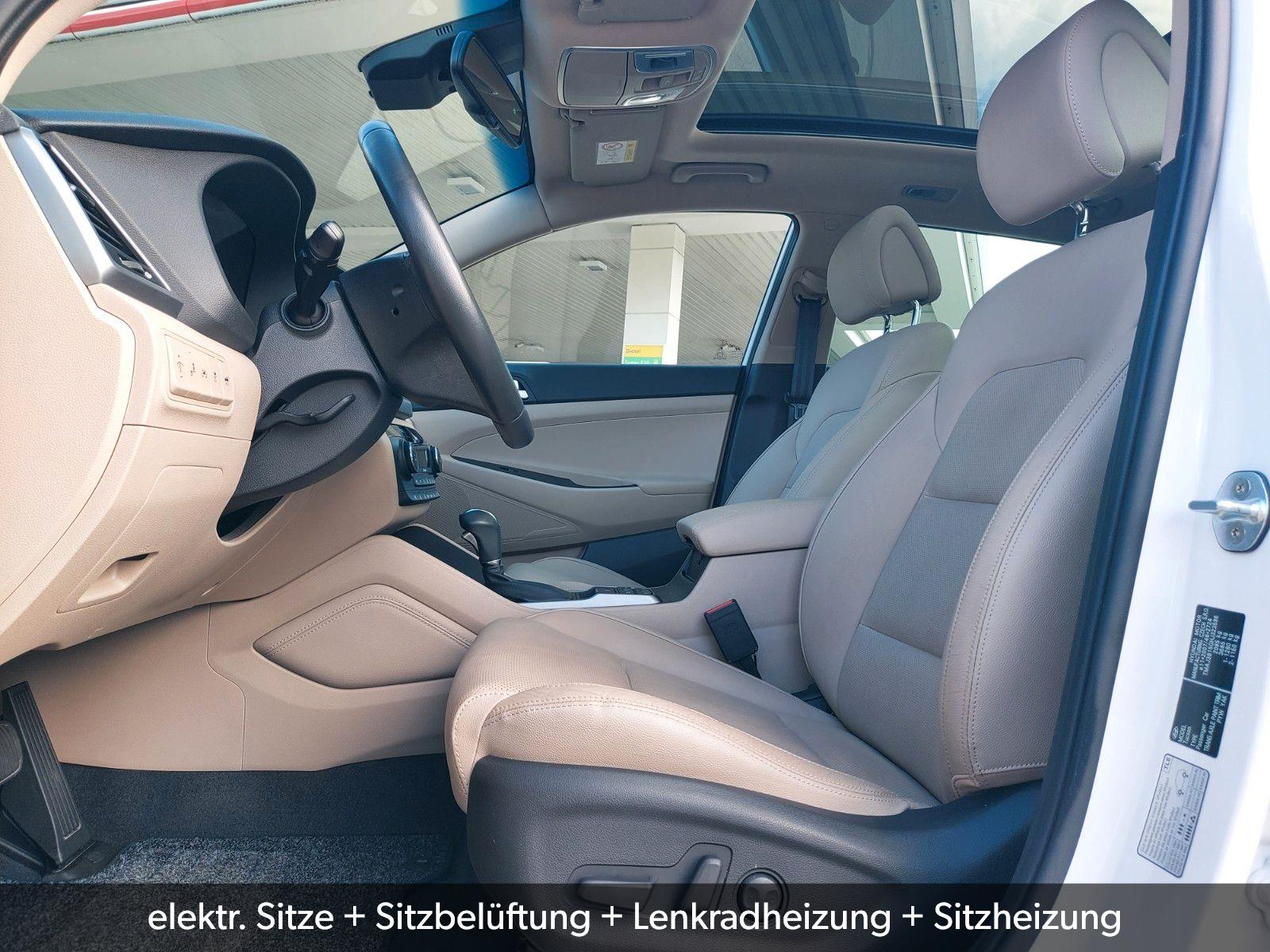 Hyundai Tucson blue Premium Pano Radar Leder Sitzklima