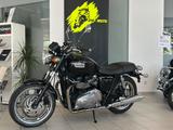 Triumph Bonneville SE EFI / Service neu / Reifen neu - TRIUMPH BONNEVILLE SE