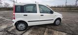 Fiat Panda - Fiat Panda in Dresden