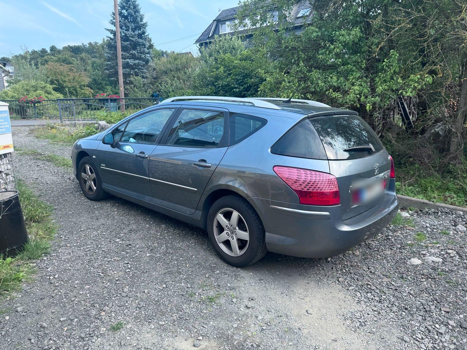 Peugeot 407 2010 — rear view