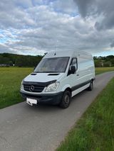 Mercedes-Benz Mercedes Sprinter 316NGT - Mercedes-Benz Sprinter mit Benzin-Antrieb