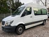Mercedes-Benz SPRINTER KASTEN VOLLVERGLAST*AUTOMATK*129PS* - Mercedes-Benz Sprinter: Allradantrieb, Van