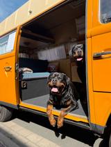 Volkswagen Tausche T2 Camper Inspektion & Tüv Neu Gut... - Volkswagen T2: Camper