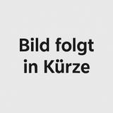 Fiat Panda City Life - Fiat Panda Gebrauchtwagen in Stuttgart