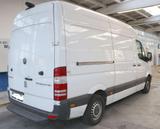 Mercedes-Benz Sprinter 319 mit Sortimo-Einrichtung - Mercedes-Benz Sprinter: Van