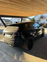 Land Rover Range Rover Evoque P300e Black Edition - Land Rover: Schwarz, Edition