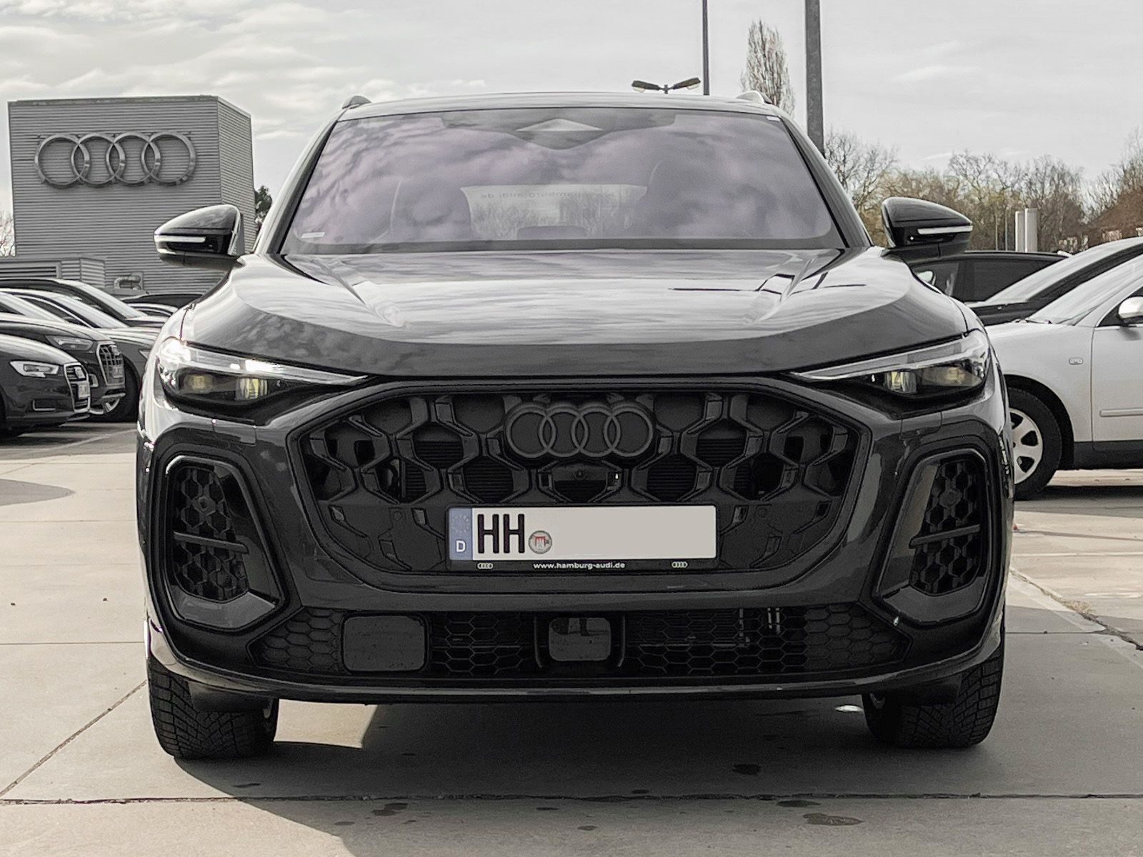 Audi SQ5 - Bild 3