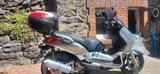 Yamaha Xmax 250 erst 21300 km gelaufen  - ROLLER 25 KM