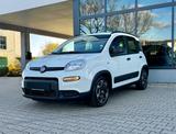 Fiat Panda City Life*WENIG KM*KLIMA*PDC*DAB+*TEL*BT* - gebrauchte Fiat Panda aus dem Jahr 2022