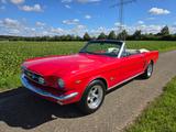 Ford Mustang Cabrio Restauriert  - Ford Mustang Oldtimer: Cabrio