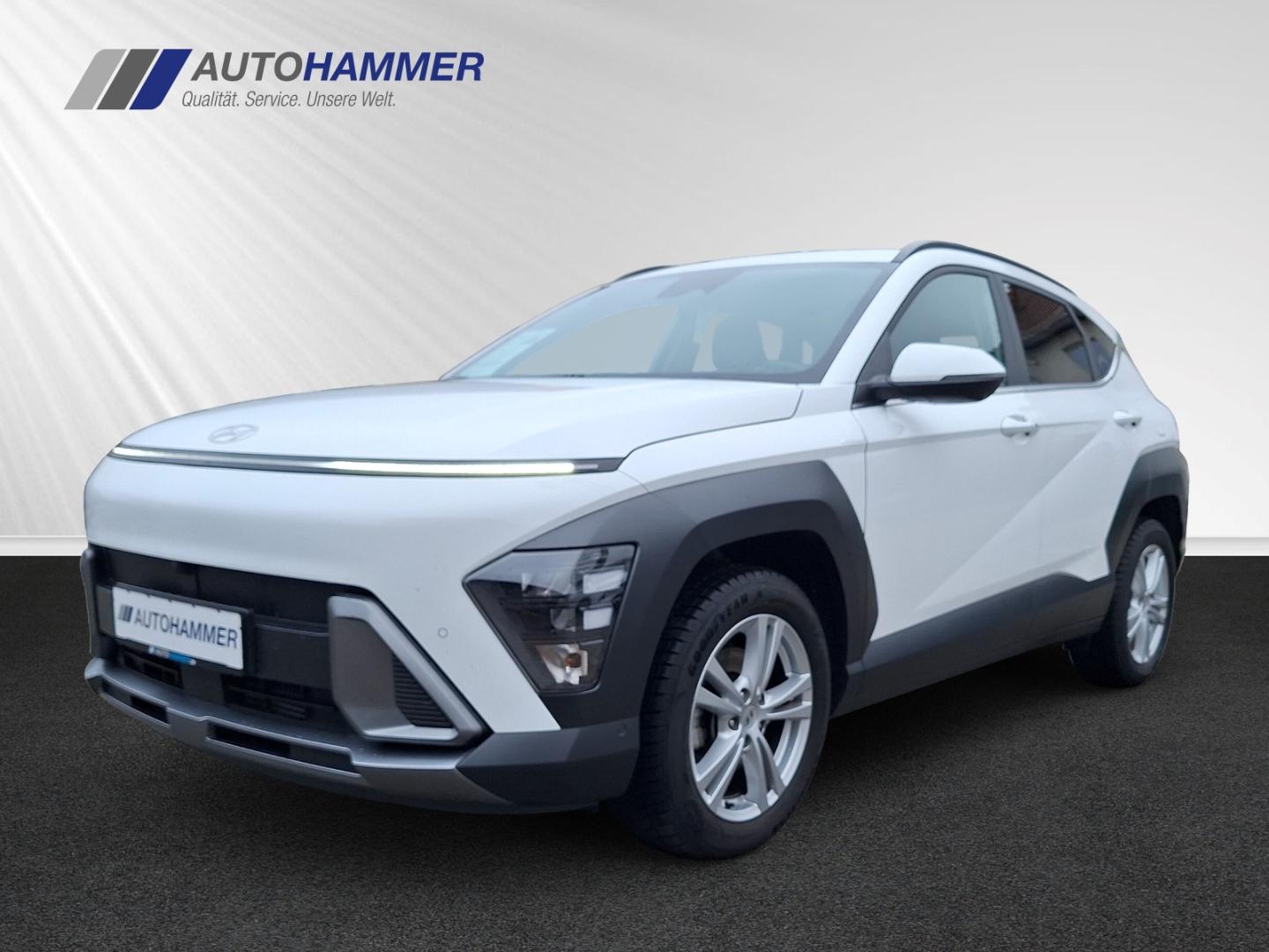 Hyundai KONA 1.0T DCT TREND Navi LED Navi Ass.-P. el.HK
