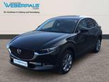Mazda CX-30 Exclusive-Line 2WD-BOSE-NAVI-360 KAMERA - Mazda Jahreswagen