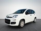 Fiat New Panda 1.2 8V EASY TÜV NEU KLIMA - Fiat New Panda: Kleinwagen