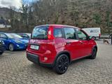 Fiat Panda Pandina Cross Tempomat PDC hinten Bluetoot - Fiat Panda: Pandina