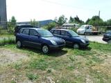 Daihatsu Schöne Daihatsu Sirion Automatik Klima Fah... - Daihatsu Sirion: Automatik