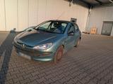 Peugeot 206 - Peugeot 206 in Hamm