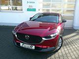 Mazda CX-30 SKYACTIV 150 Homura NAVI/HUD/KAMERA - gebrauchte Mazda CX-30 aus dem Jahr 2024