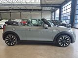 MINI COOPER S CABRIO TEILLEDER SHZ PDC TÜV+SERVIC NEU - MINI Cooper S Cabrio in Hamburg