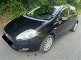 Fiat Punto 1.2 8V - - Fiat Punto in Düsseldorf