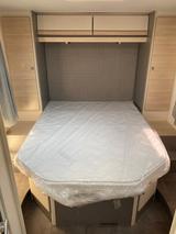 Ahorn Canada TQ Plus - Ahorn Canada