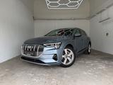 Audi e-tron 50 quattro advanced+ANHÄNGERKUPPLUNG+ACC+ - Audi e-tron: Advanced