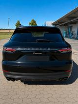 Porsche Cayenne E-Hybrid - Bose/Panorama/Mwst. - Porsche Cayenne in Braunschweig