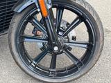 Indian Scout Rogue - INDIAN SCOUT ROGUE