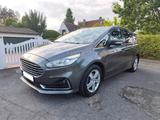 Ford S-Max 2,0 EcoBlue Titanium -bestens gepflegt-TOP - Ford S-Max in Hagen