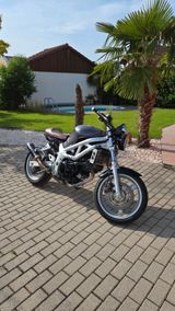 Suzuki SV 650 Knubbel - SUZUKI 2000 SV650