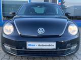 Volkswagen Beetle Lim. Cup*PANO*PDC*KLIMAAUT*SHZ*MFL*TEMPO* - Volkswagen Beetle: Cup