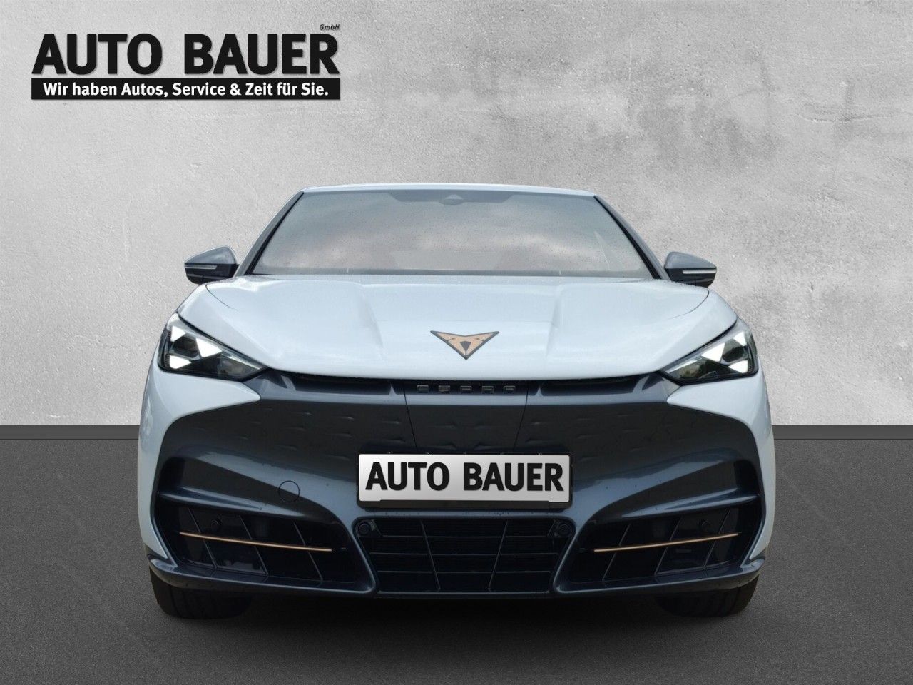 Fahrzeugabbildung CUPRA Tavascan VZ 4Drive 340 PS 77 kWh