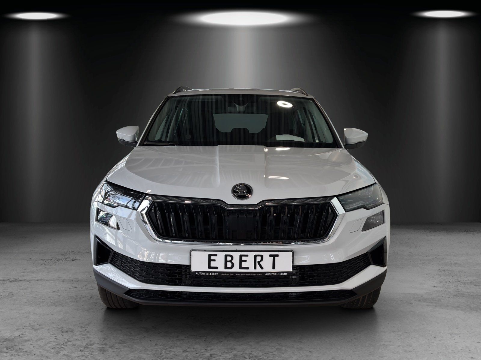 Fahrzeugabbildung SKODA Karoq Tour 1,5 TSI 110 kW DSG MATRIX/AHK/ACC/NAV
