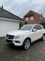 Mercedes-Benz Mercedes ML 350 AMG Design - : Mercedes Ml
