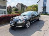 Jaguar XF 4.2 L V8 Premium Luxury Premium Luxury - gebrauchte Jaguar XF aus dem Jahr 2008