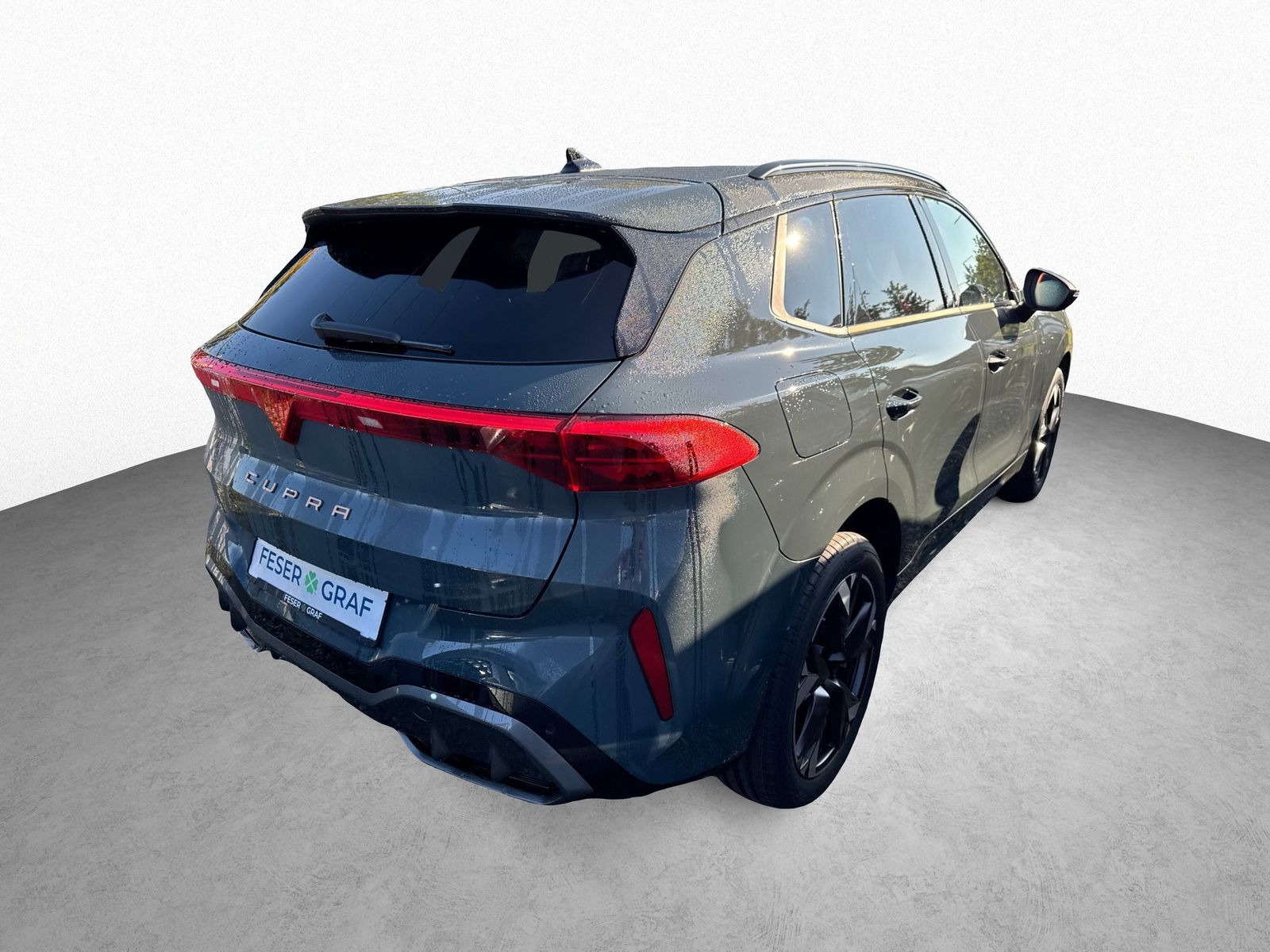 Cupra Terramar - Bild 3