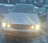 Mercedes-Benz Mercedes E350 - gebrauchte Mercedes-Benz E 350 aus dem Jahr 2005