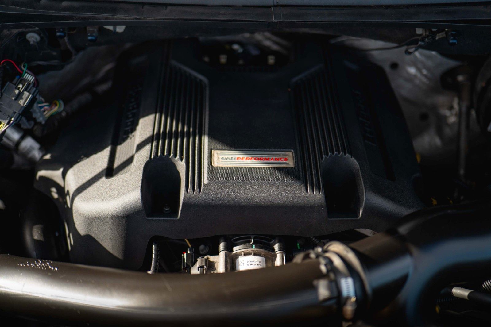 Fahrzeugabbildung Ford F150 RAPTOR 3.5L V6 BiTurbo 4x4 | Panorama | FOX