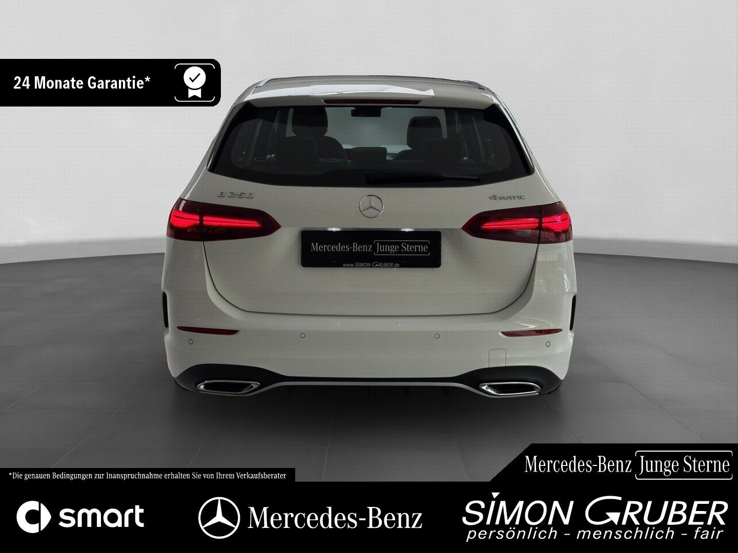 Fahrzeugabbildung Mercedes-Benz B 250 4M AMG Pano Distronic 360 Memory HUD MBeam