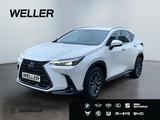 Lexus NX 350h Executive Line *Bi-LED*360°*el Sitze*SHZ - Lexus aus 2024: Nx