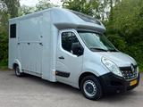 Renault Master 2018 Pferdewagen Horsetruck Transporter - Renault: Transporter